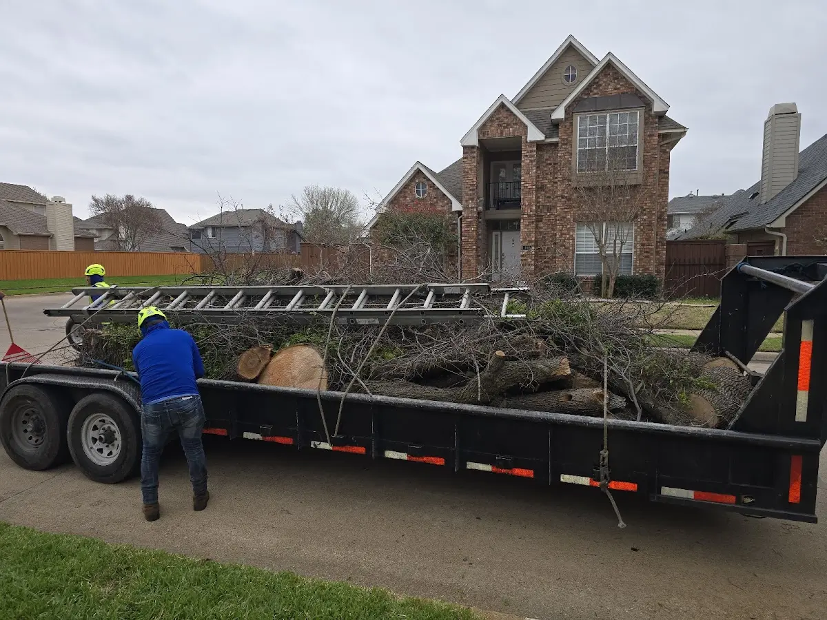 Expert Crown Reduction with proper safety equipment in Walnut Grove